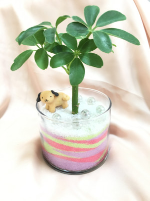 カラーサンド